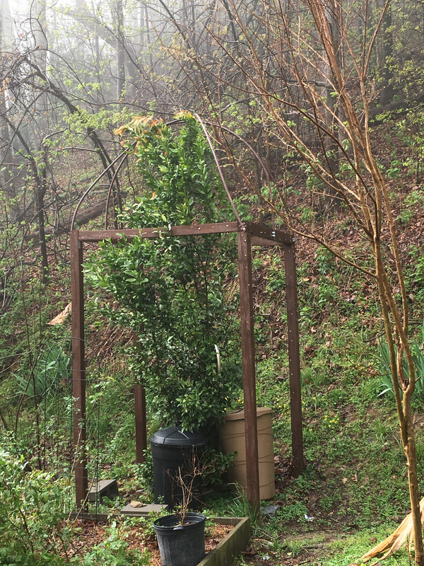 BFE34D5B-29B1-498D-A98D-1A217DB1099E