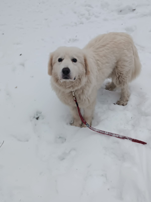 5280B7EF-C272-4E00-91CB-3B9B6B8389E7