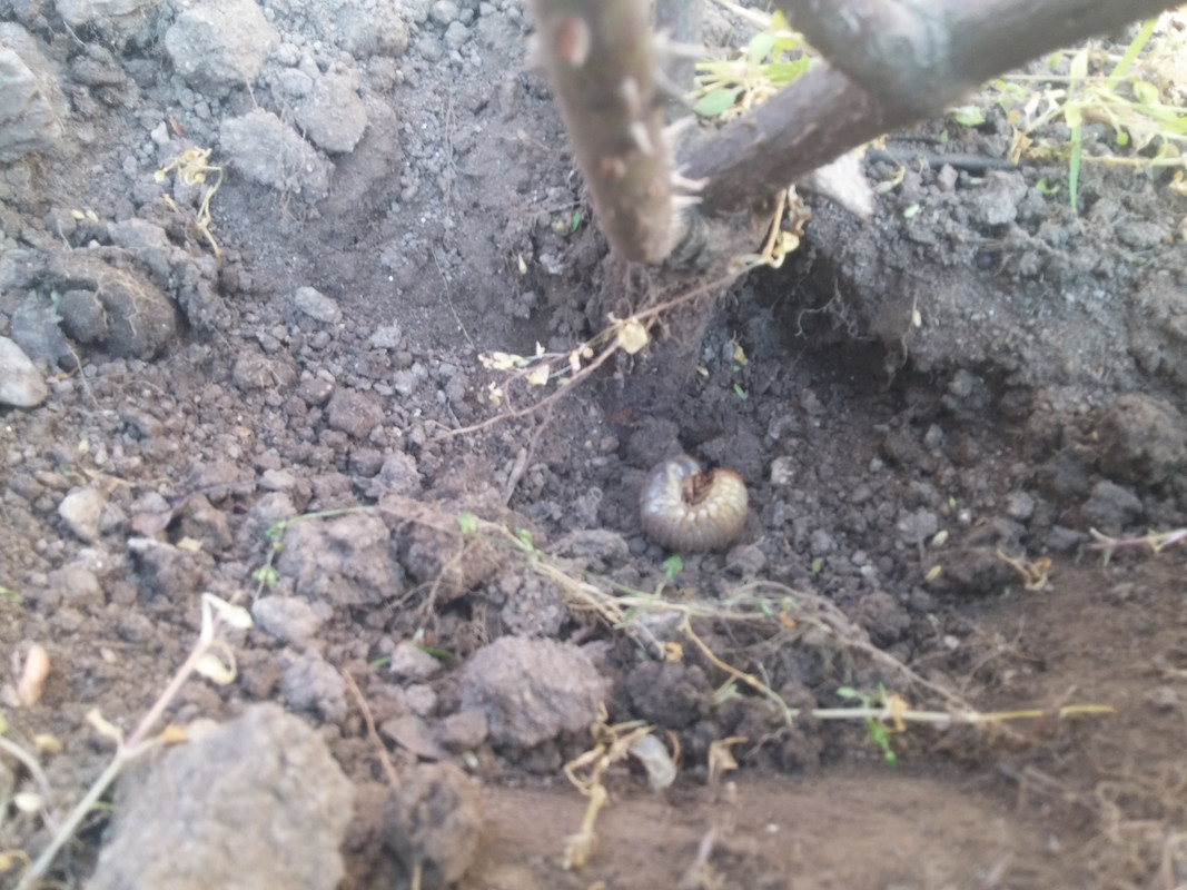 20190404_175455