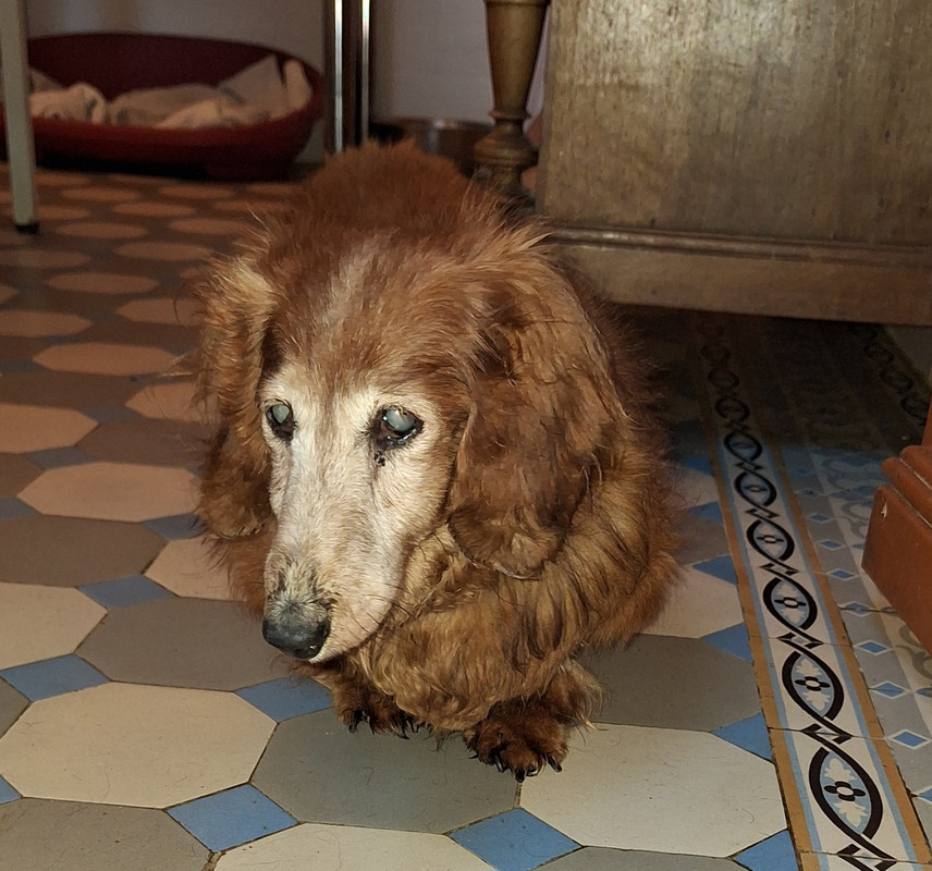 [Image: 20240324-181417.jpg]