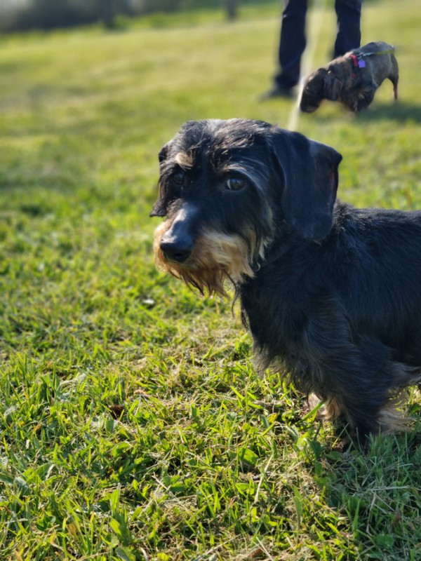 [Image: image000000-93.jpg]