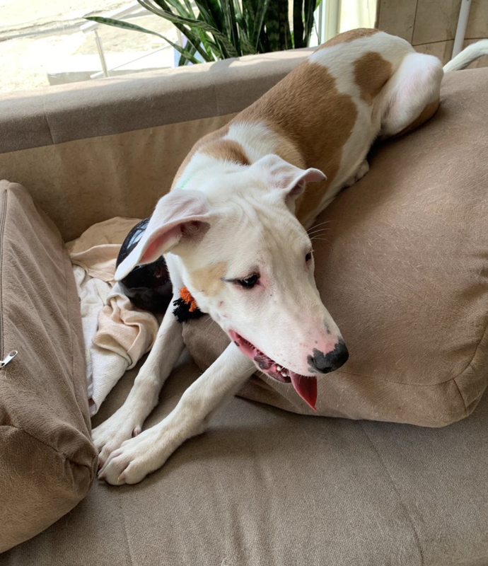 Снимок экрана 2024-04-21 в 18.23.32