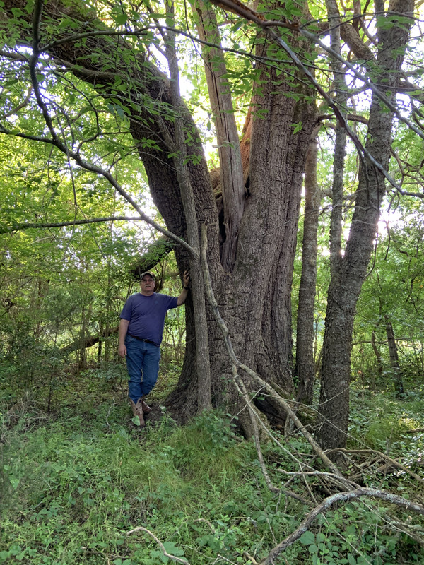 87823BBF-A8BE-4EEE-901D-13B7AA972F2A