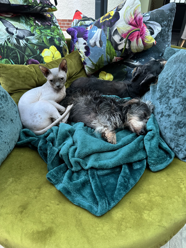 [Image: IMG-3691.jpg]