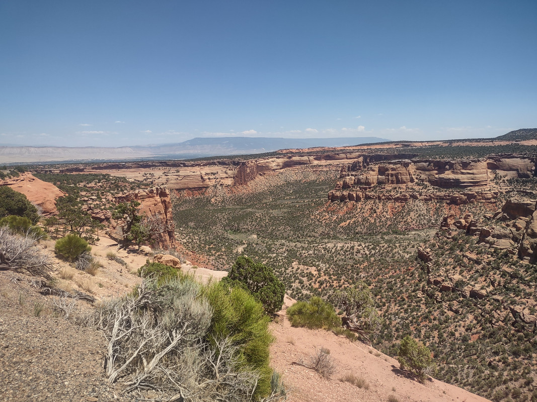 IMG_20250620_135348177_HDR