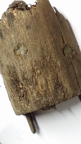 20140616_093153 (360x640)