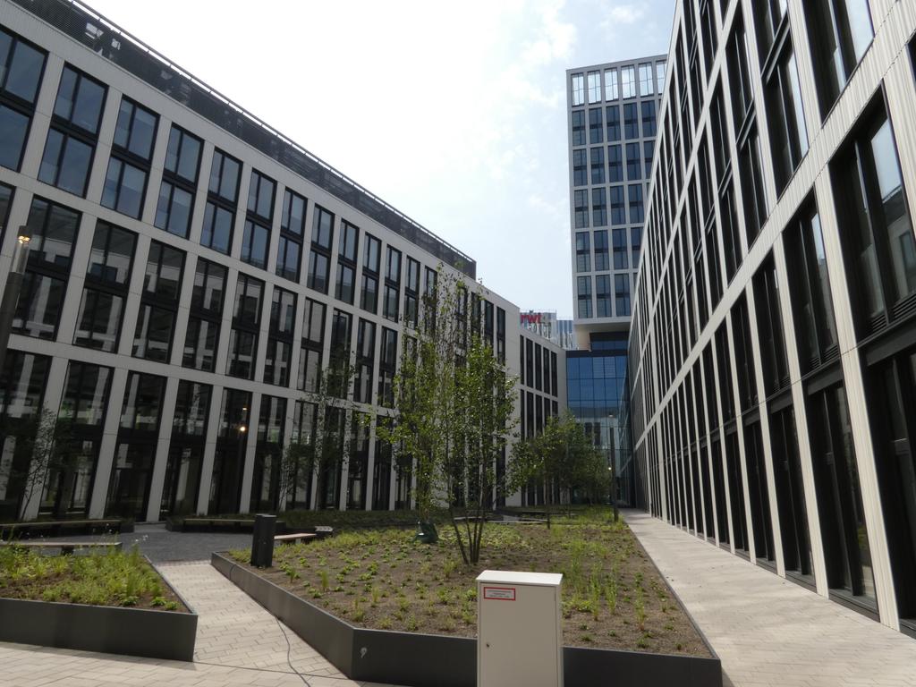 P1020133.jpg