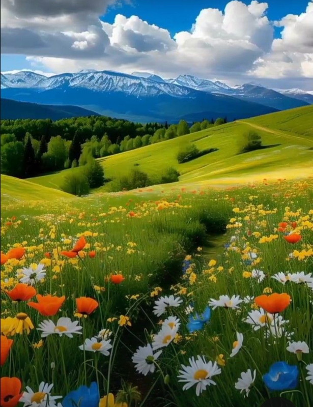 Screenshot_20240512_183343_Pinterest