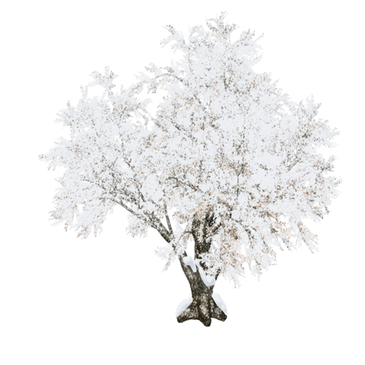 WINTER LOVE_DBJ-ELEM (58)