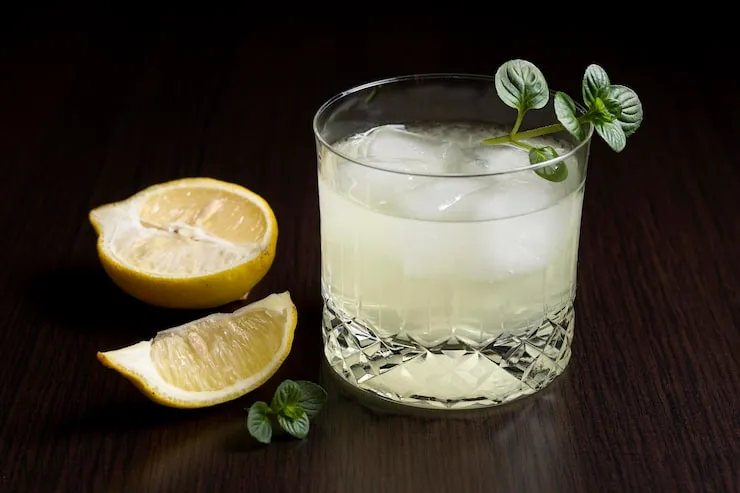 What Is a Sloe Gin Fizz