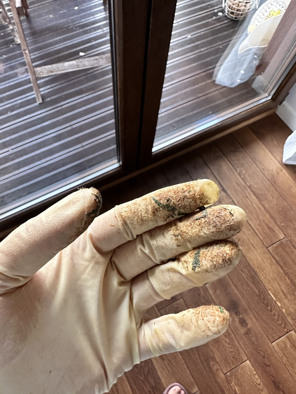 D572B462-B649-4CF0-BAC8-7B71A4291DC4