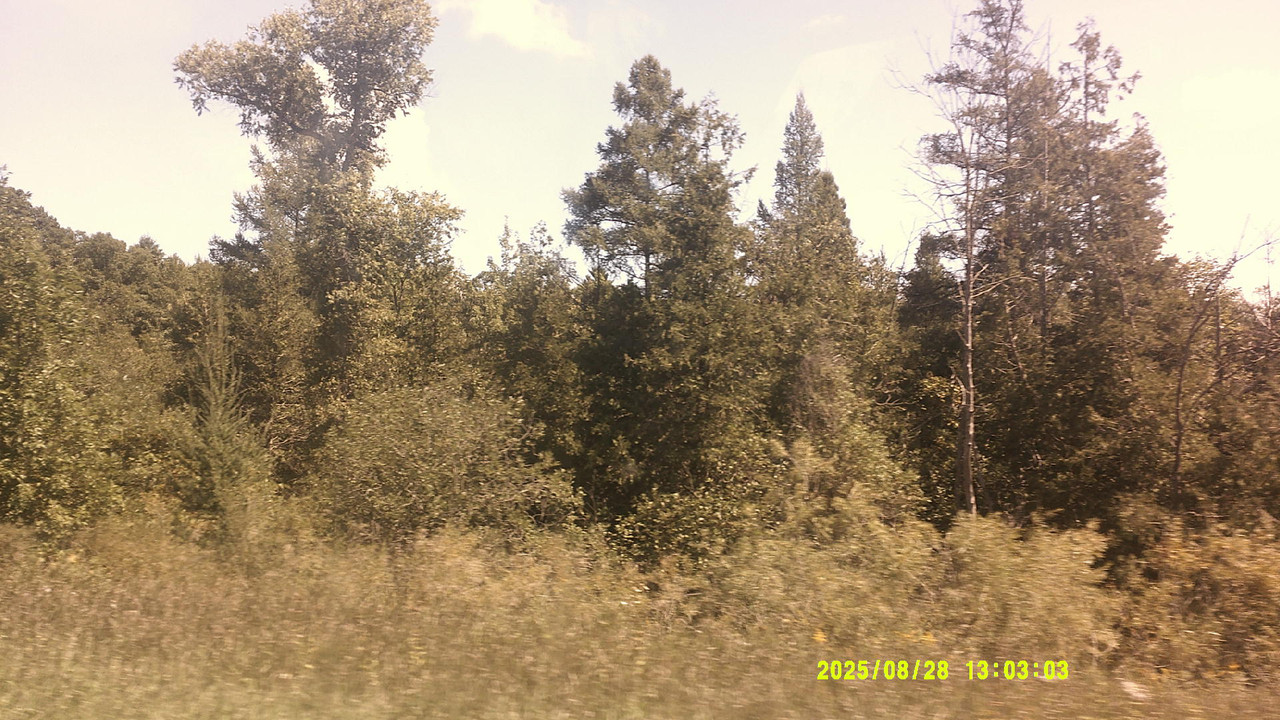 a green gradient