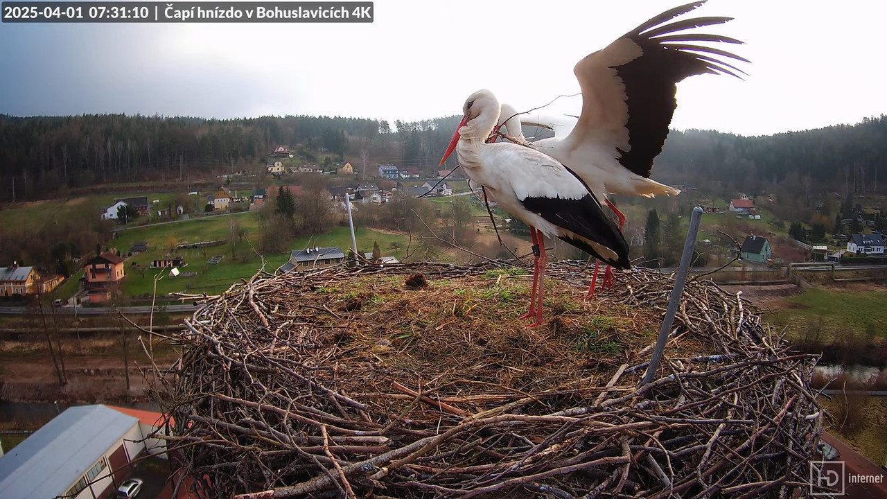 Živě z čapího komína firmy KARA v Bohuslavicích u Trutnova 10-19-59 screenshot