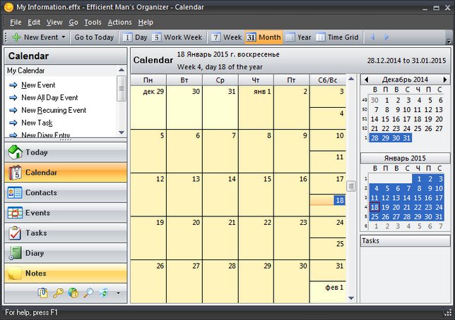 Efficient Mans Organizer 5.60 Build 559 Multilingual