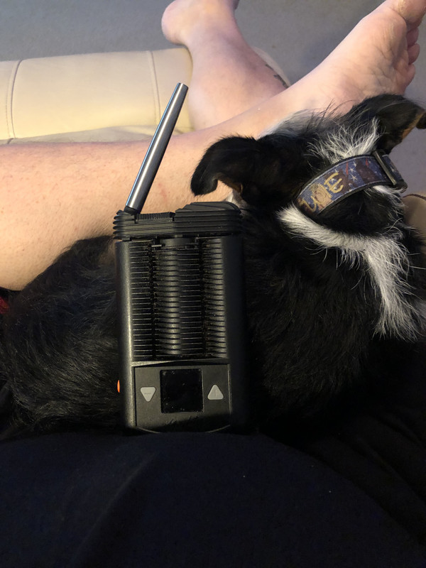 C4E4CE5D-2A5A-4AD6-B87E-0A118E198003