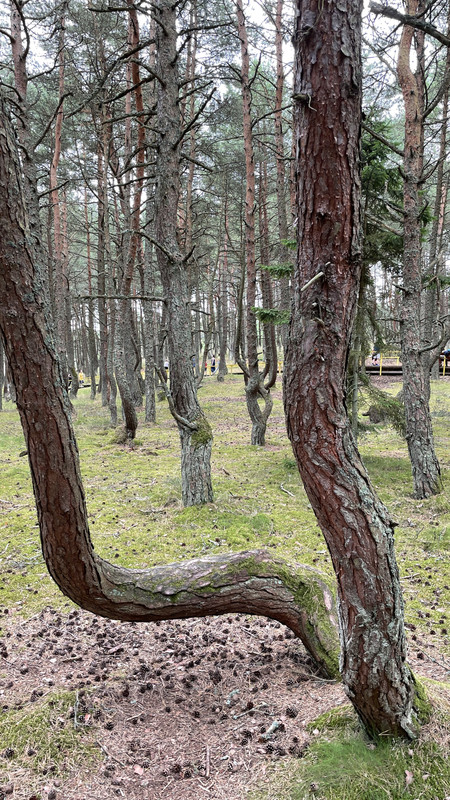 D5EFD29A-CA7D-4842-8D05-2CC68A61F52C