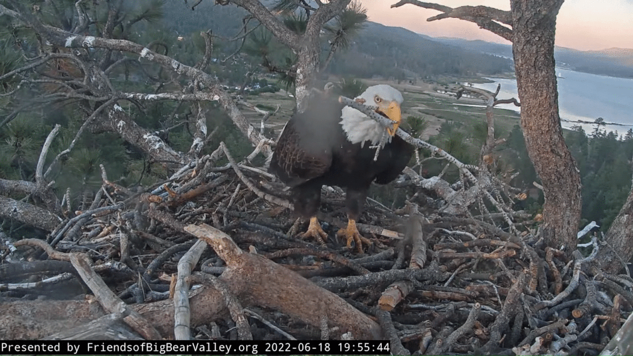 Webp.net-gifmaker (9)