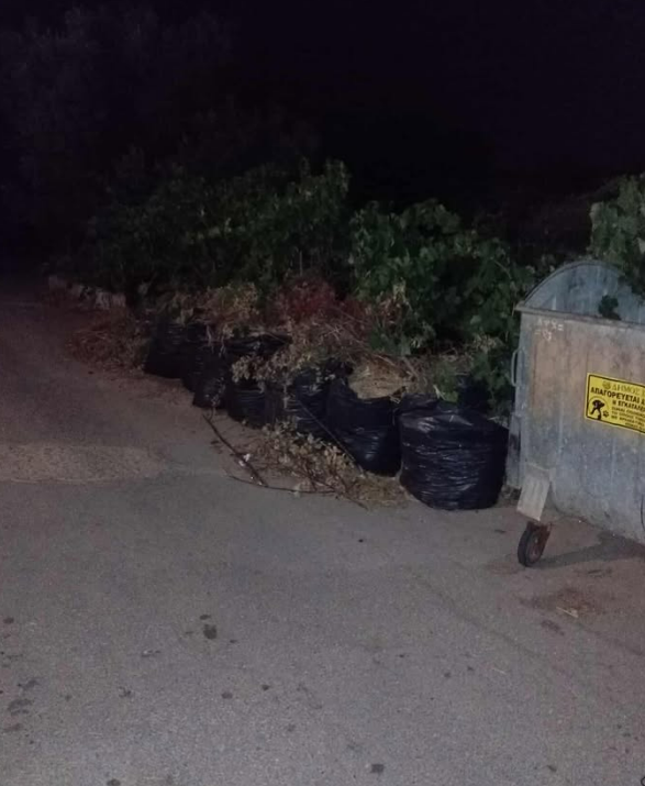 ΚΑΤΑΓΓΕΛΙΑ: ΑΠΟ ΤΗ ΜΕΓΑΛΗ ΕΒΔΟΜΑΔΑ ΔΕΝ ΤΑ ΕΧΟΥΝ ΜΑΖΕΨΕΙ ΑΠΟ ΤΟΝ ΔΗΜΟ