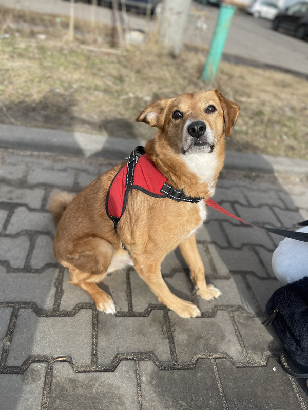 5A853E1E-0522-4E4D-8843-EBA545BBDC32