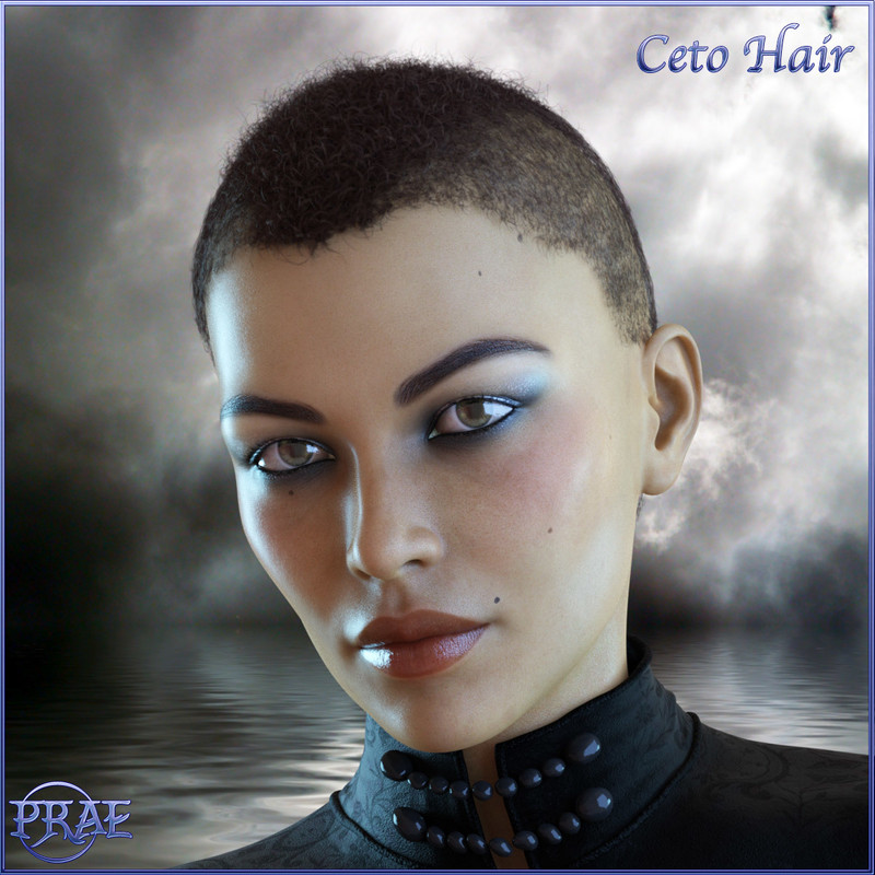 Military Dress Uniform(Converted From G3M to G8M) And Ceto Hair For Genesis 8 Male