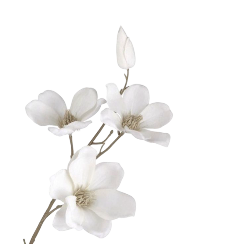 Tumblr l 501365267349056