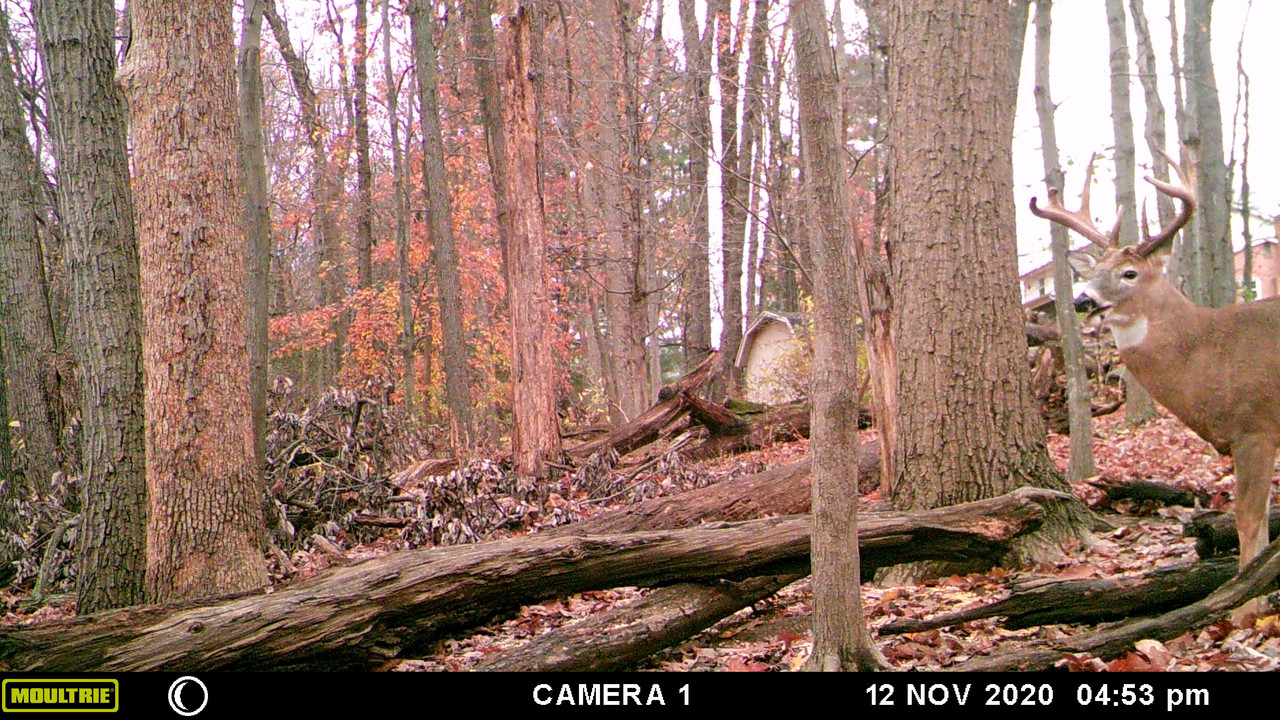 8C8B6A60-3854-4CA7-8295-2FA9AD348535