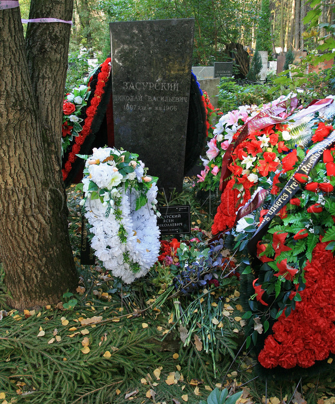zasursky-yn