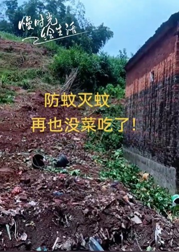 https://i.postimg.cc/NFnHrsJ2/imige-10.jpg