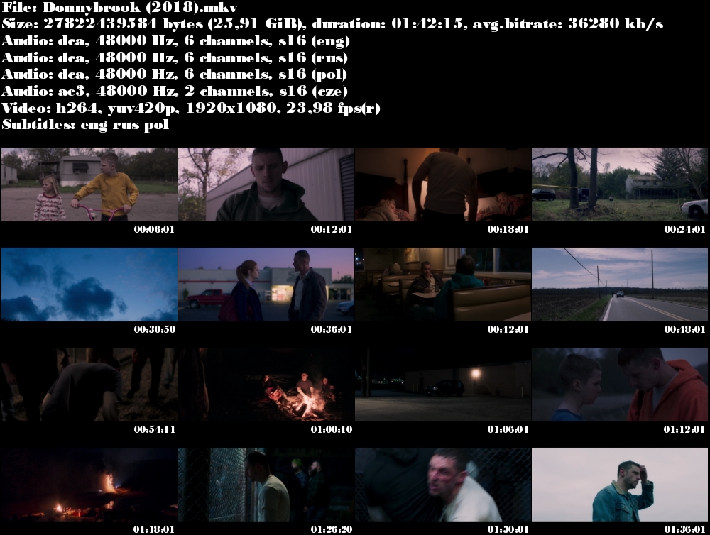 Donnybrook: Muž proti muži / Donnybrook (2018)