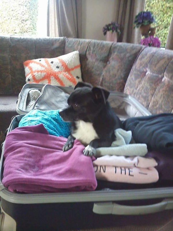 FB_IMG_1499267727596