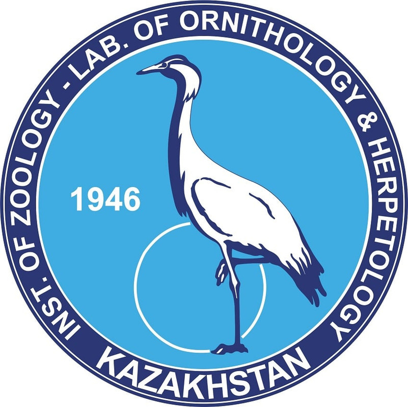 орнитология