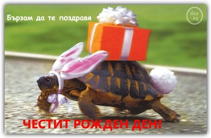 Картичка