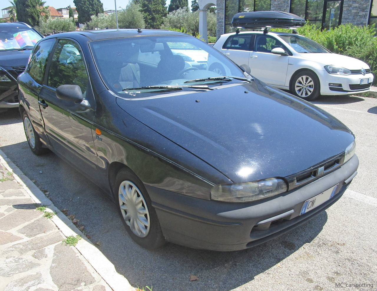 IMG-9305.jpg