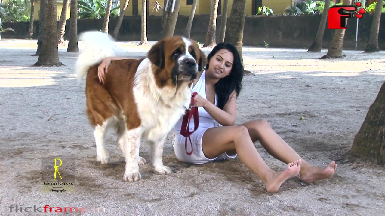 vlcsnap-2021-05-28-01h37m21s937