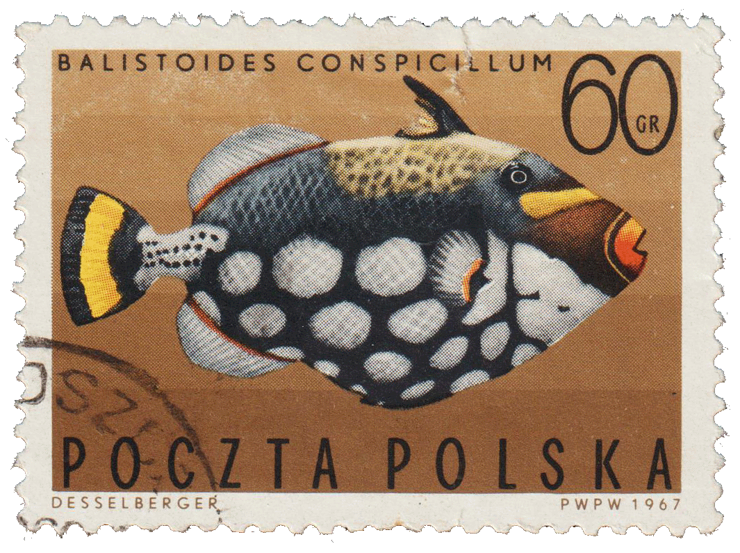 Stamp 10