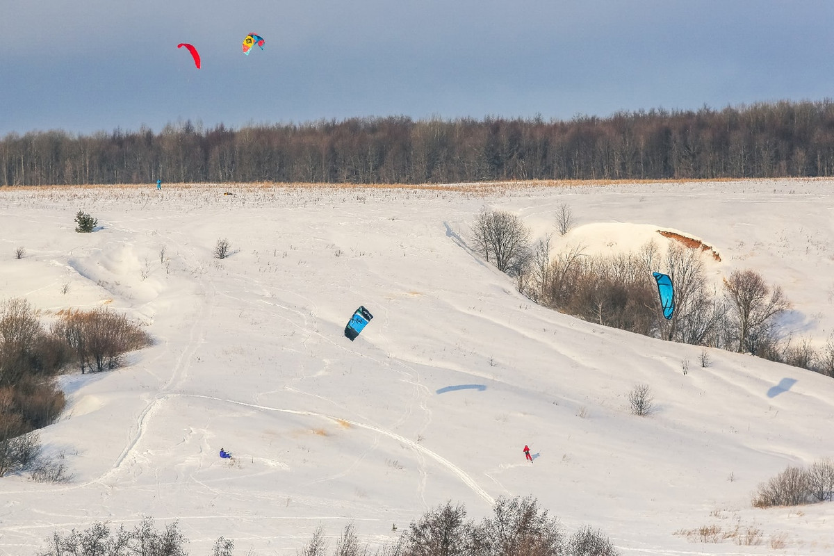 FDF2254B-F89A-4694-A0B6-A637F9285031