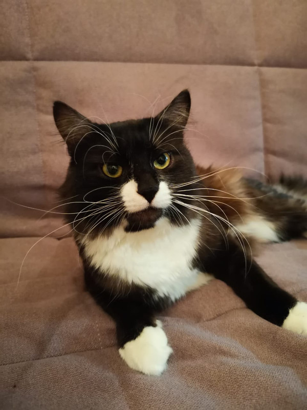 IMG-20240215-WA0011(2)