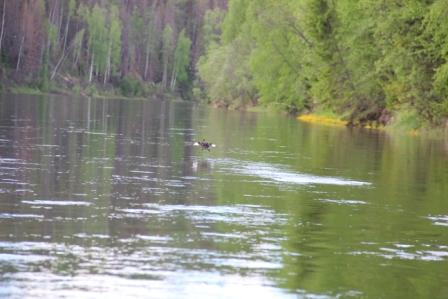 Лозьва 2013 150