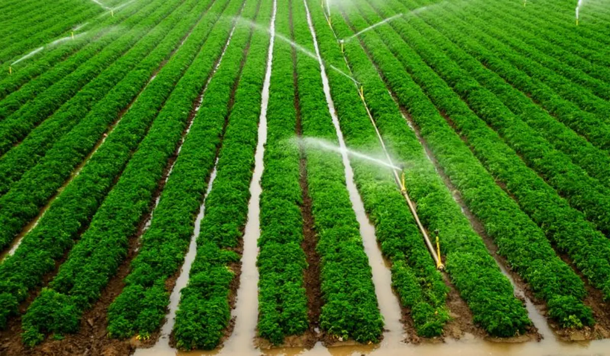 How Farmers Are Rethinking Every Drop