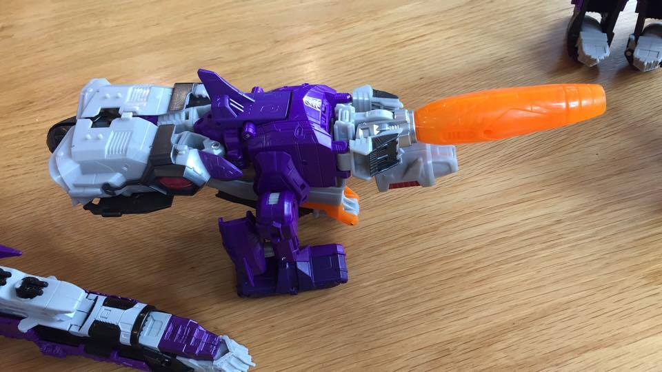 10628098_979829035436839_391653321340905108_n