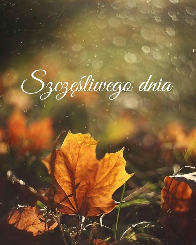 https://i.postimg.cc/NFpYBVcN/394315533-1318576032355475-8146865193656202000-n.jpg