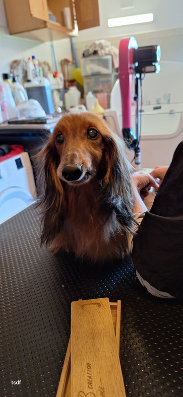 [Image: 20250305-153000.jpg]