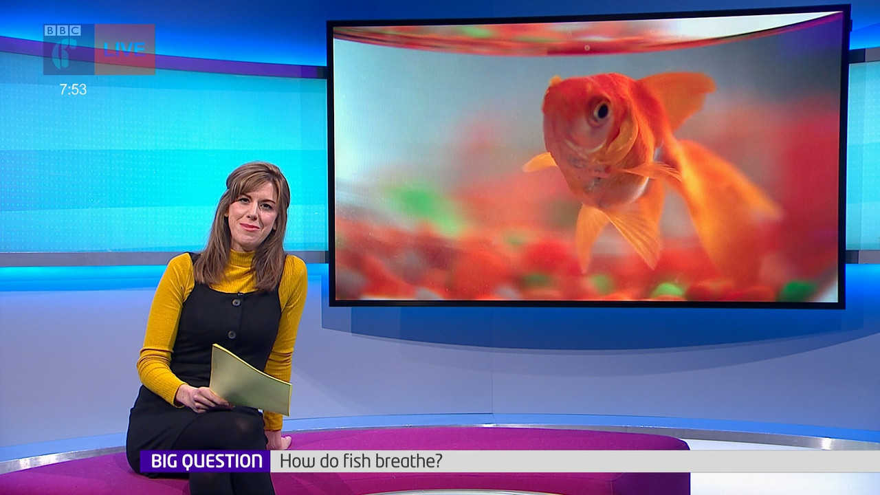 Newsround_20220419_07450755.ts_snapshot_09.13.428