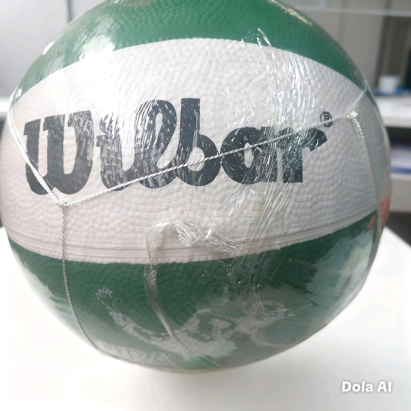 Balón en red