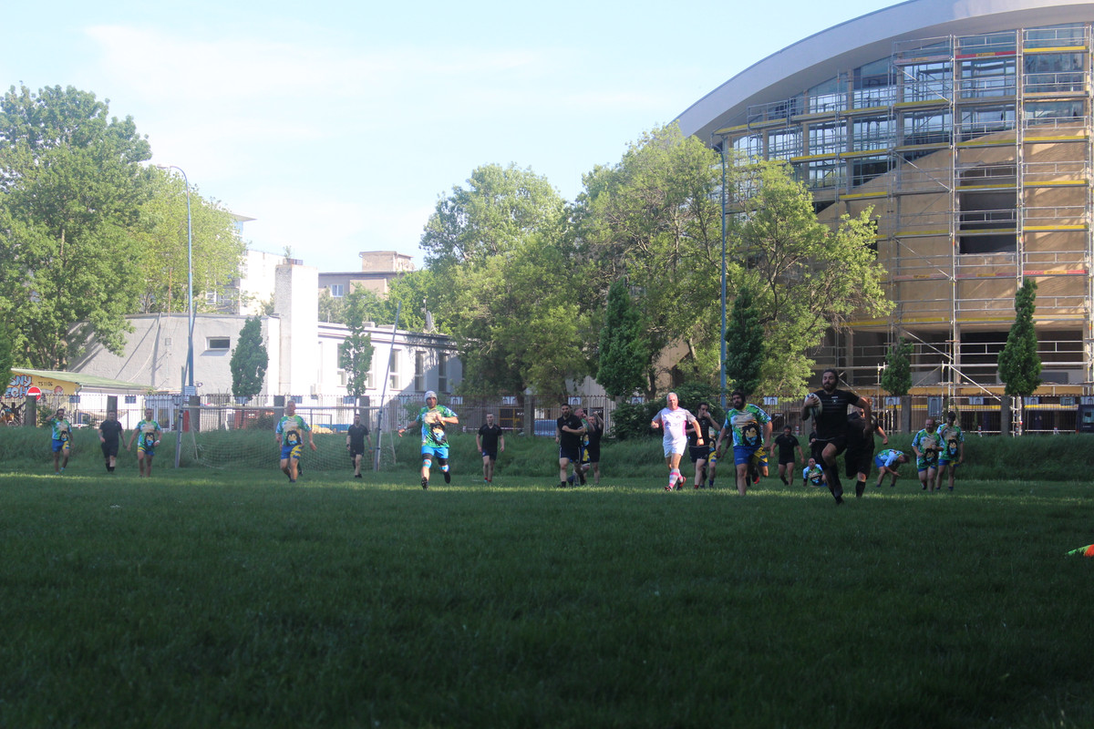 IMG-0499