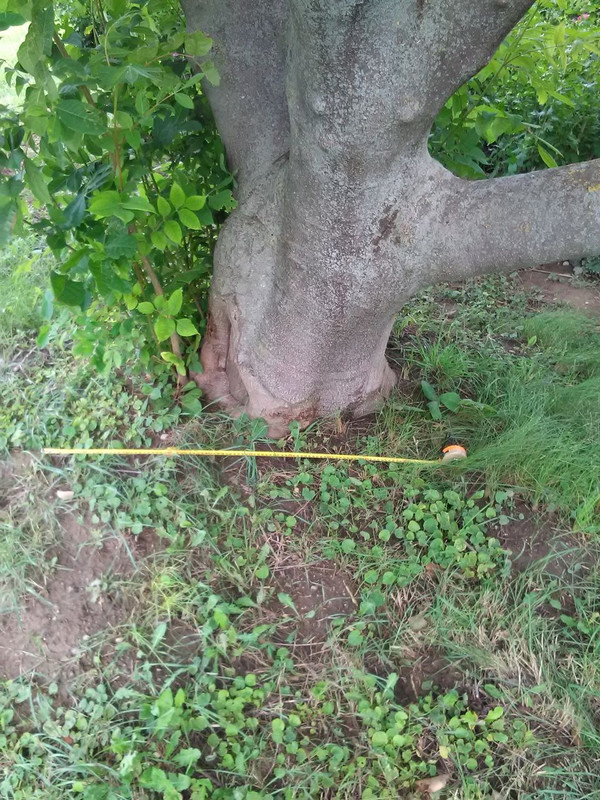 D5529BE2-86DB-4B41-8E6E-63DF229DDD17