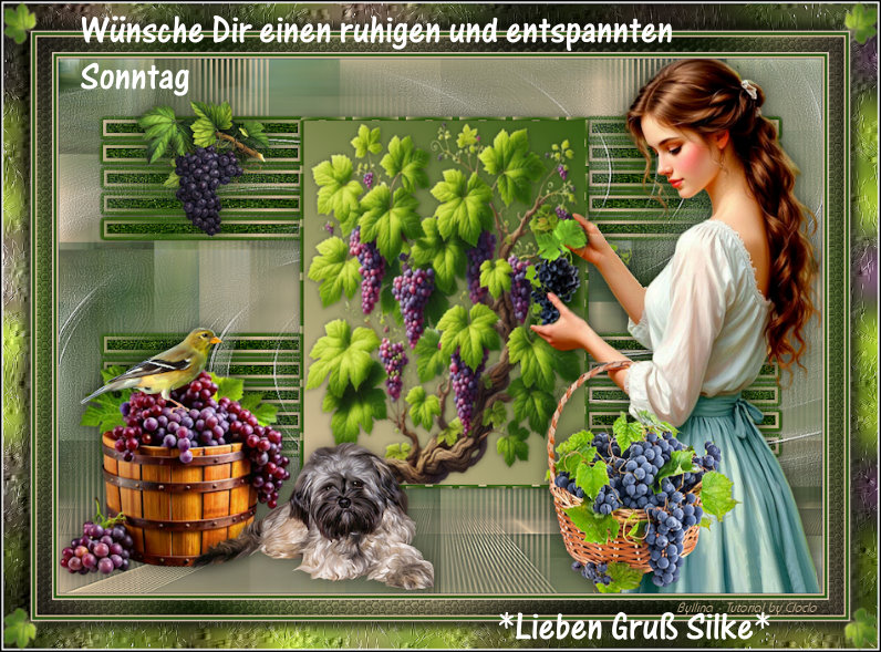 An den Beitrag angehängtes Bild: https://i.postimg.cc/NFqZ6r5V/Vendanges.jpg