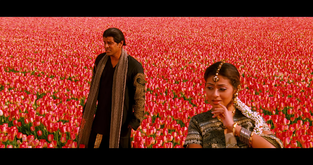 VideoCapture_20241122-200640