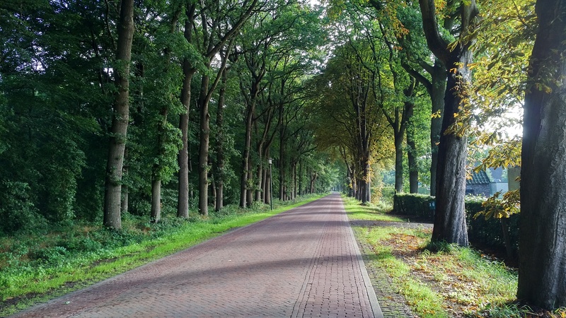 IMG_20170715_0835002