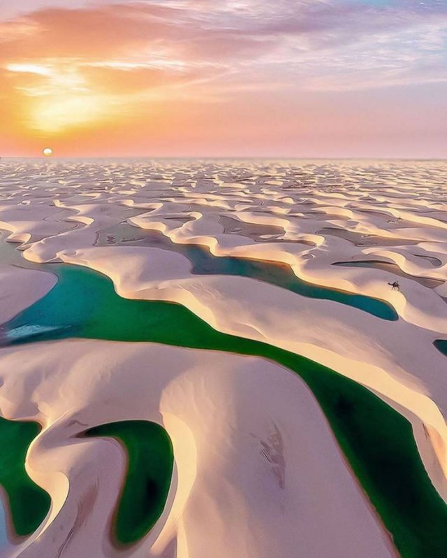 Amazing-7